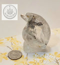 Enchanted Lodolite Penguin Carving | Natural Garden Quartz 🐧