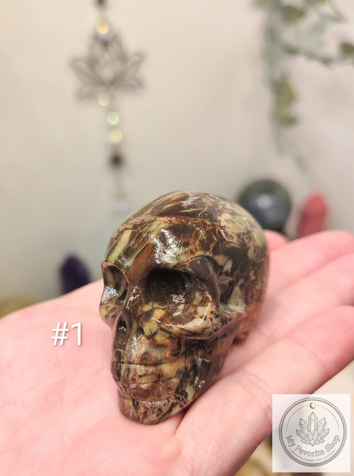 Money Agate Skull Carvings – Earthy Patterns and Individual Character