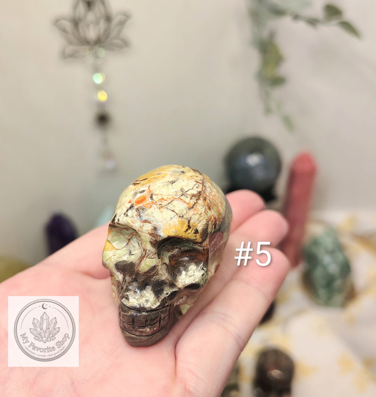 Money Agate Skull Carvings – Earthy Patterns and Individual Character