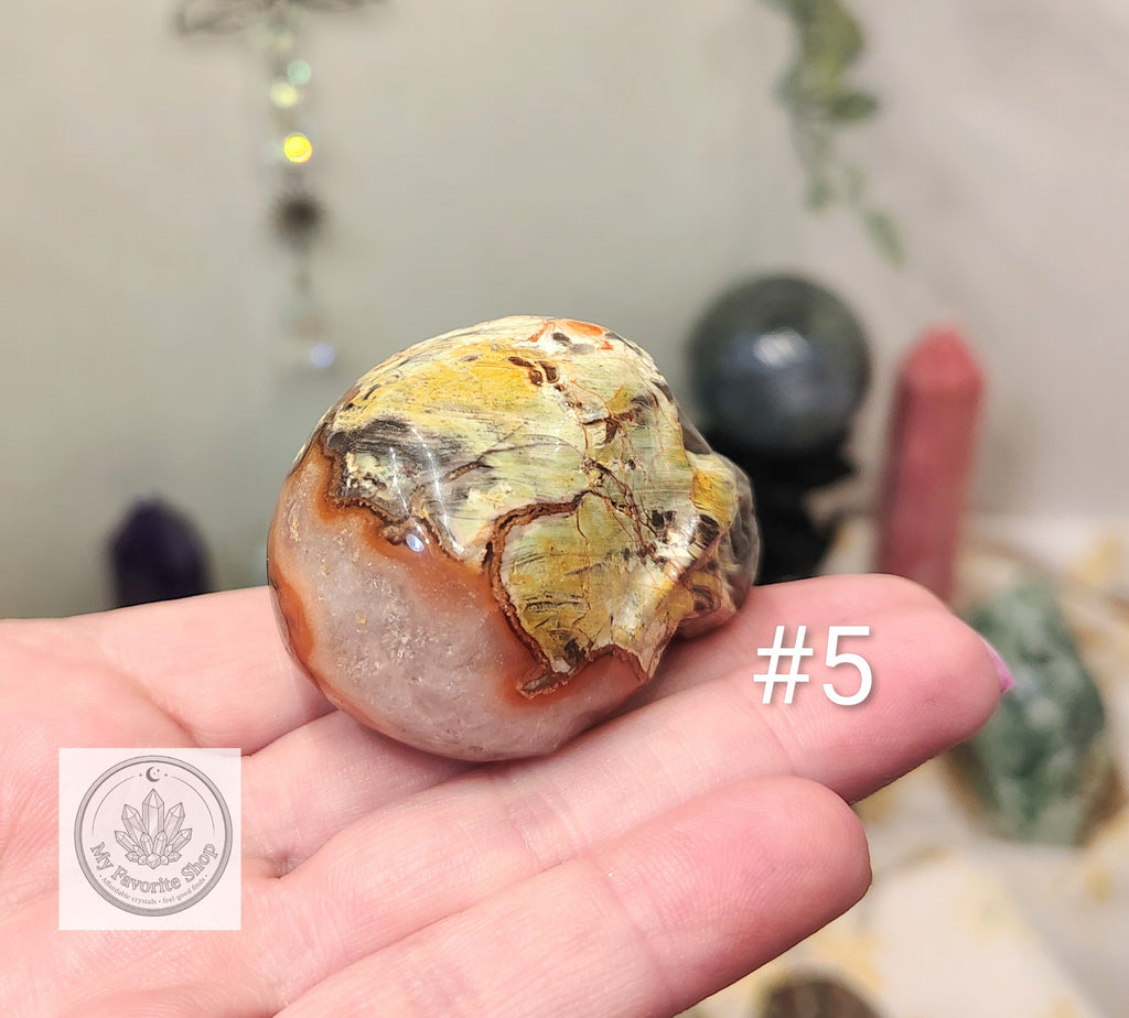 Money Agate Skull Carvings – Earthy Patterns and Individual Character
