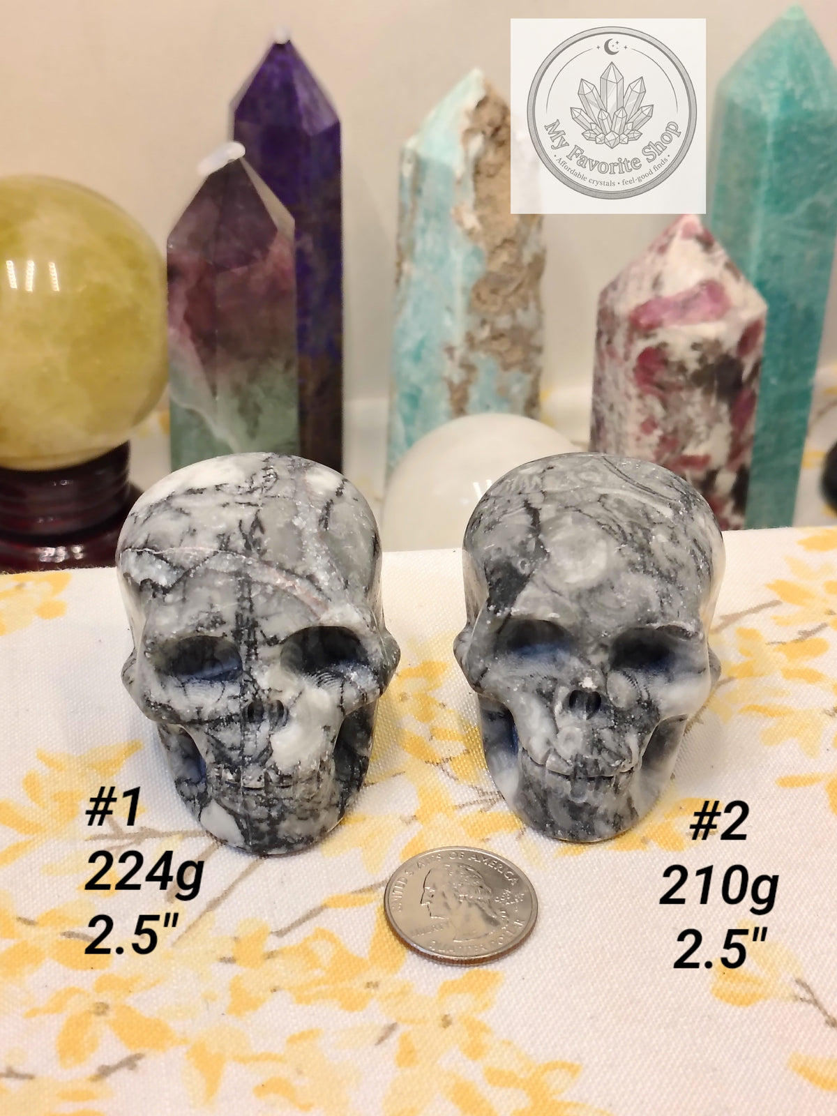 Shellstone Skulls | Choose Your Exact Piece
