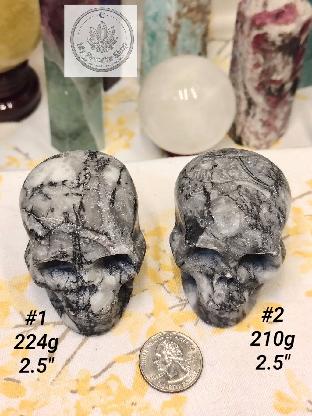 Shellstone Skulls | Choose Your Exact Piece