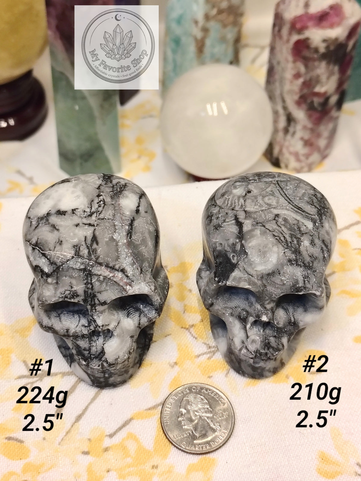 Shellstone Skulls | Choose Your Exact Piece