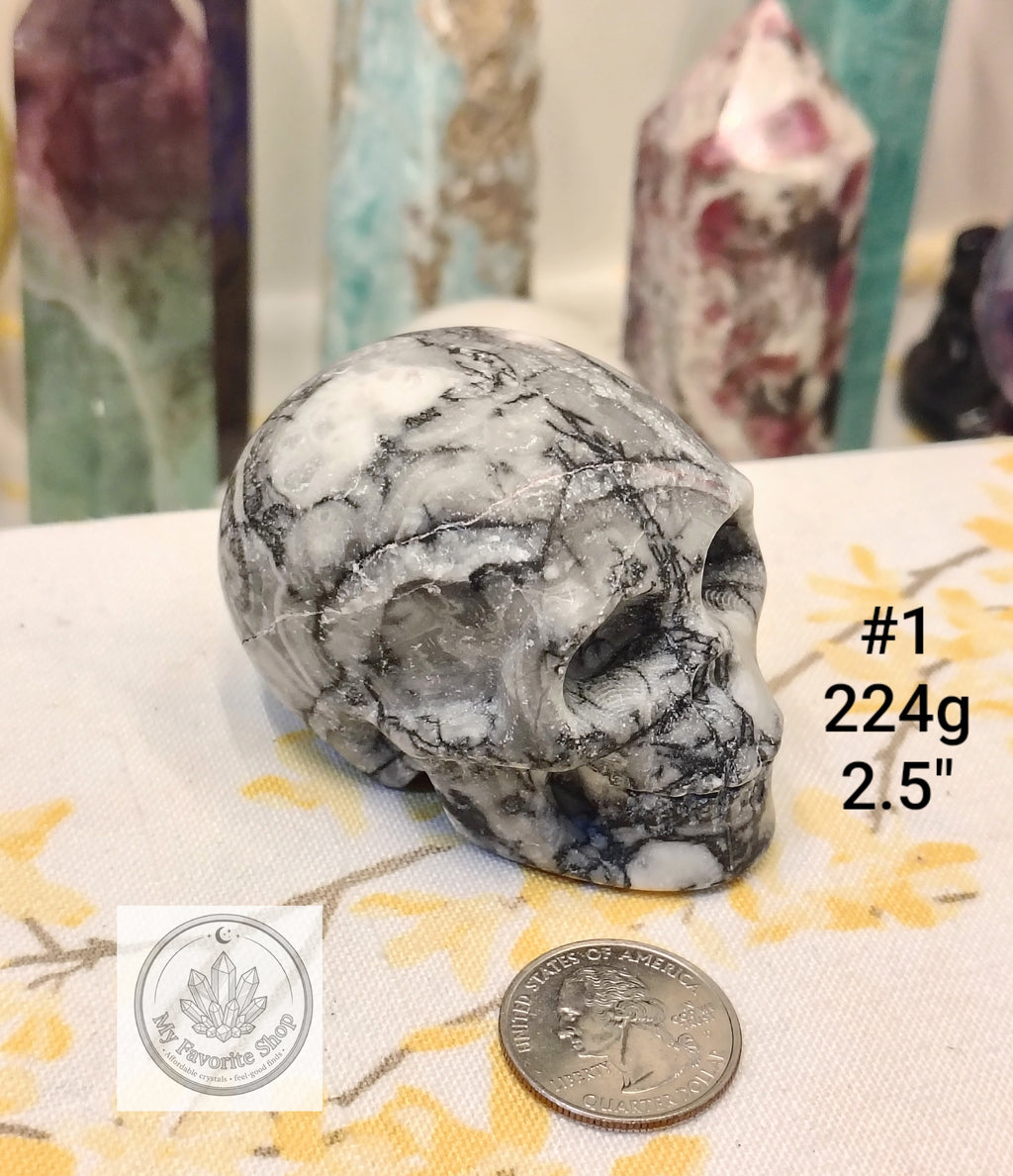 Shellstone Skulls | Choose Your Exact Piece