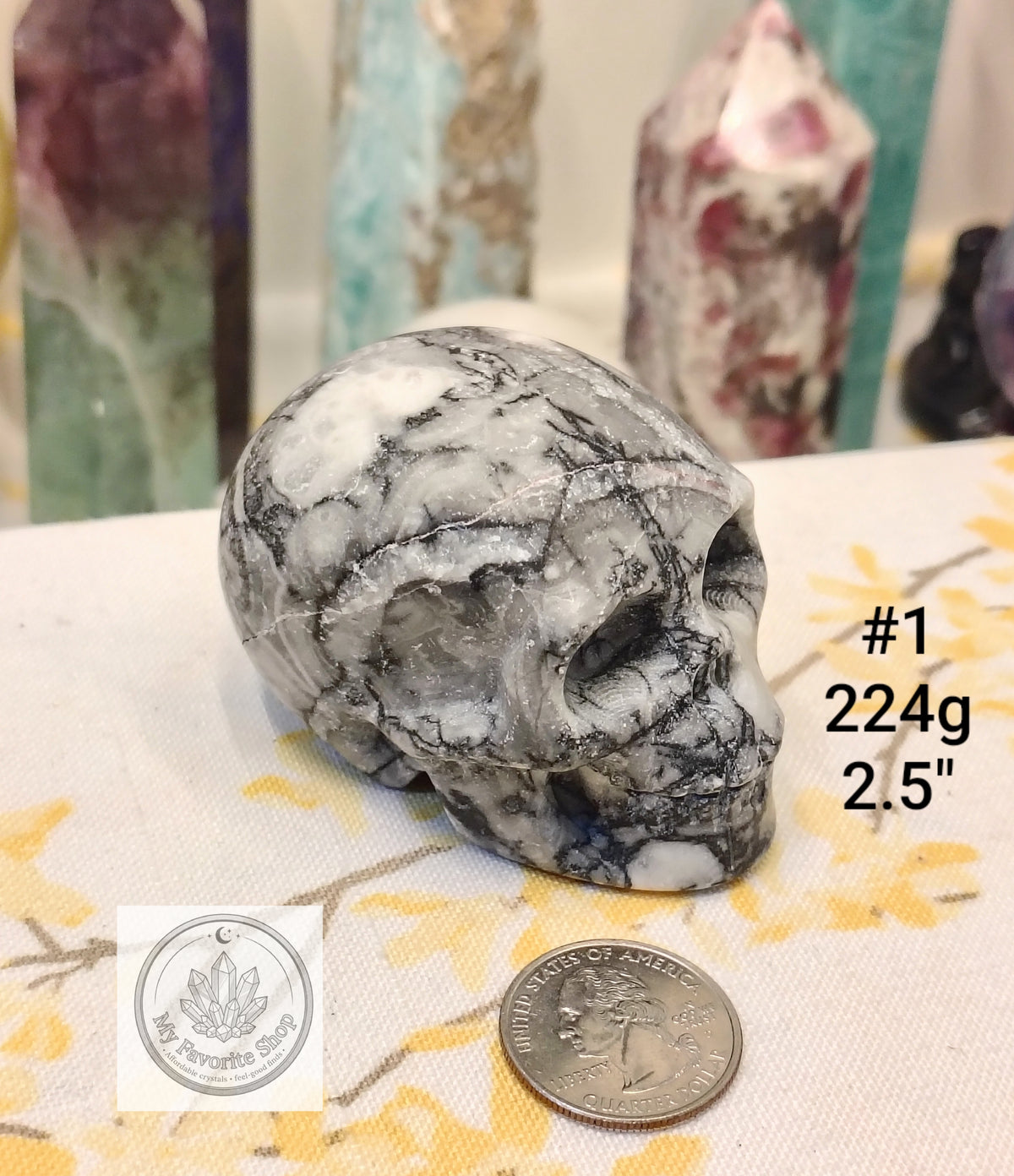 Shellstone Skulls | Choose Your Exact Piece