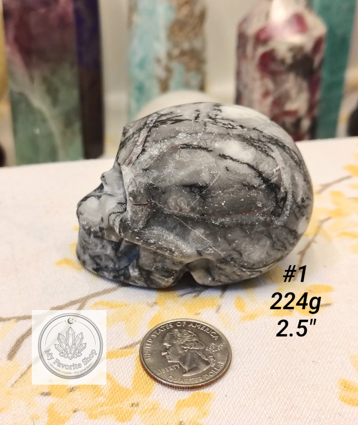 Shellstone Skulls | Choose Your Exact Piece
