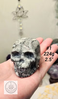 Shellstone Skulls | Choose Your Exact Piece