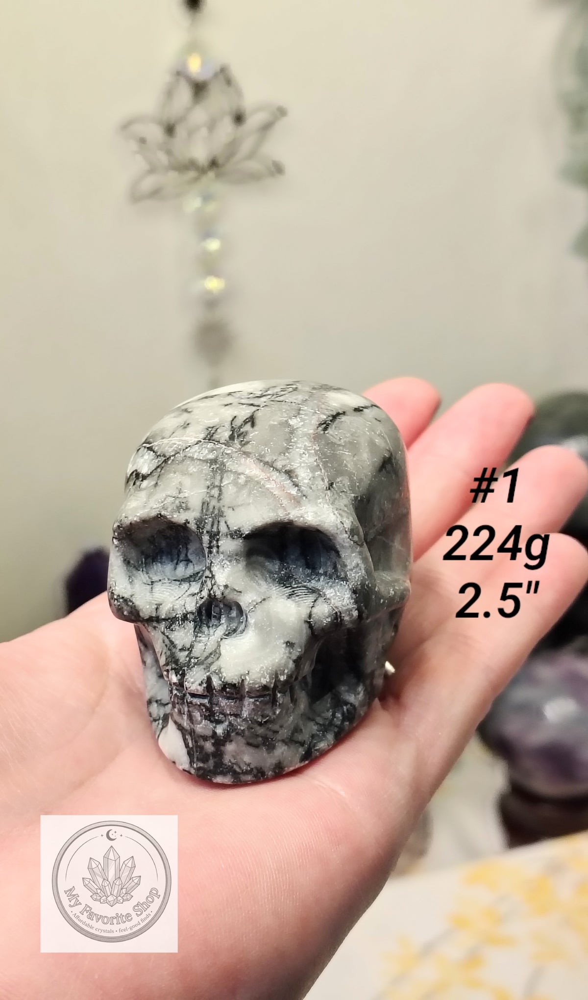 Shellstone Skulls | Choose Your Exact Piece