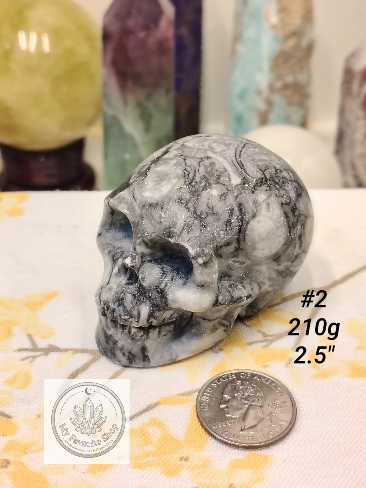 Shellstone Skulls | Choose Your Exact Piece