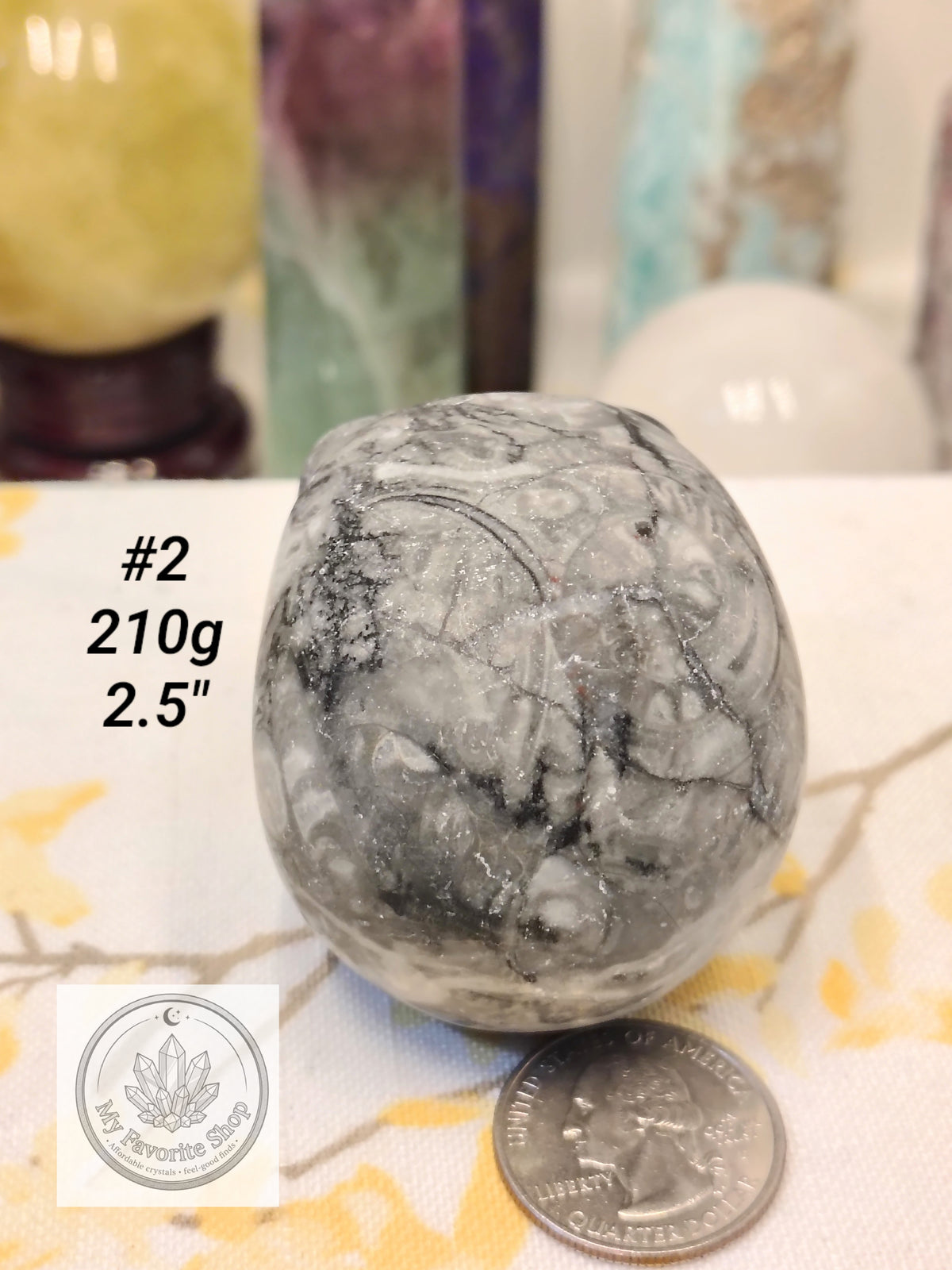 Shellstone Skulls | Choose Your Exact Piece