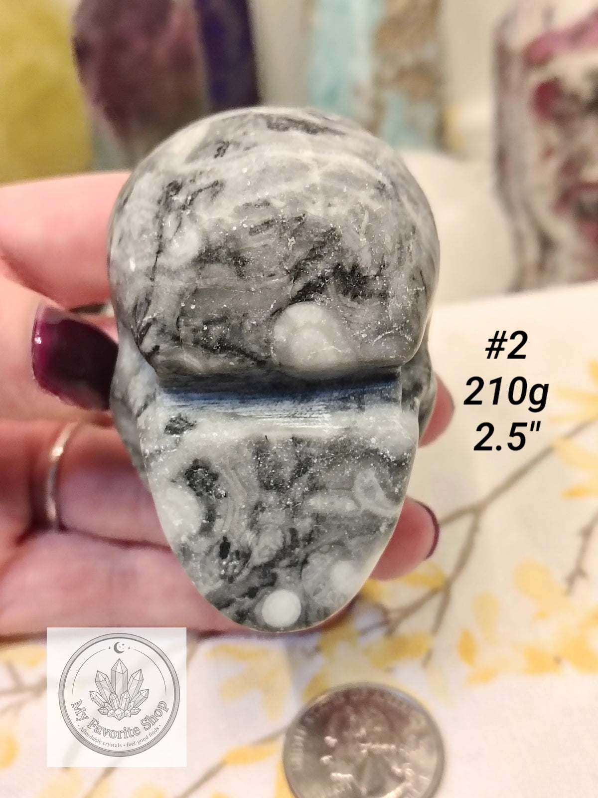 Shellstone Skulls | Choose Your Exact Piece