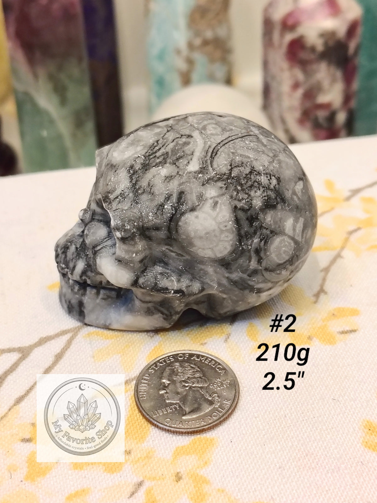 Shellstone Skulls | Choose Your Exact Piece