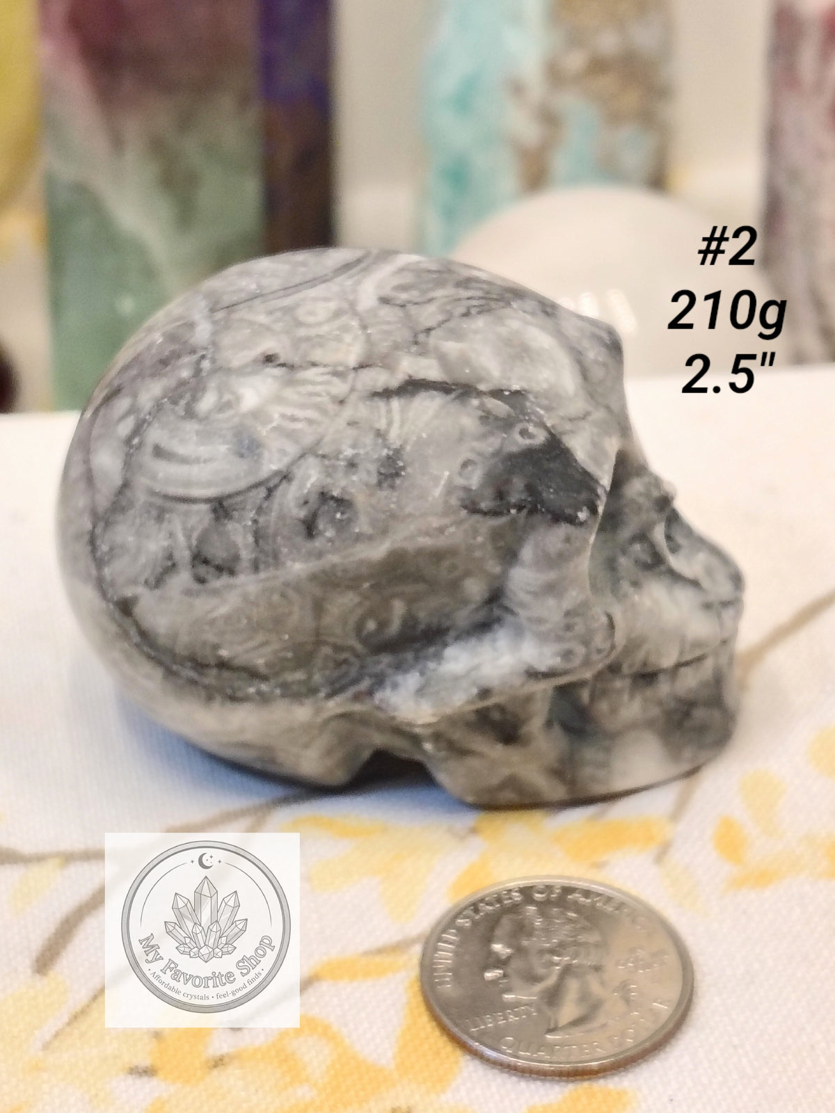 Shellstone Skulls | Choose Your Exact Piece